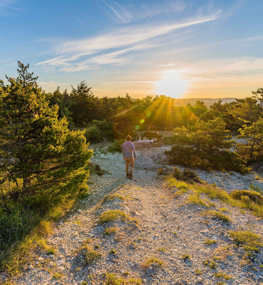 En Vaucluse, faites le plein de vitamine D ! - ©VERNEUIL T. - VPA