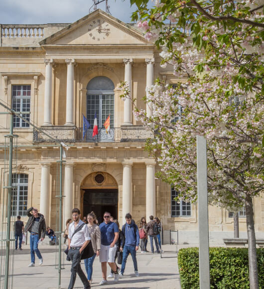 Université d'Avignon e de Pays de Vaucluse-©HOCQUEL_Alain