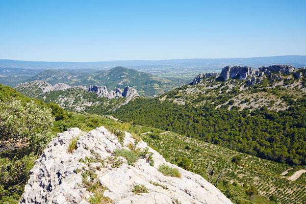 Dentelles de Montmrail @ Coquard