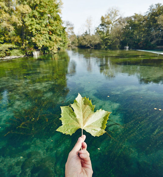 Nature @ Coquard