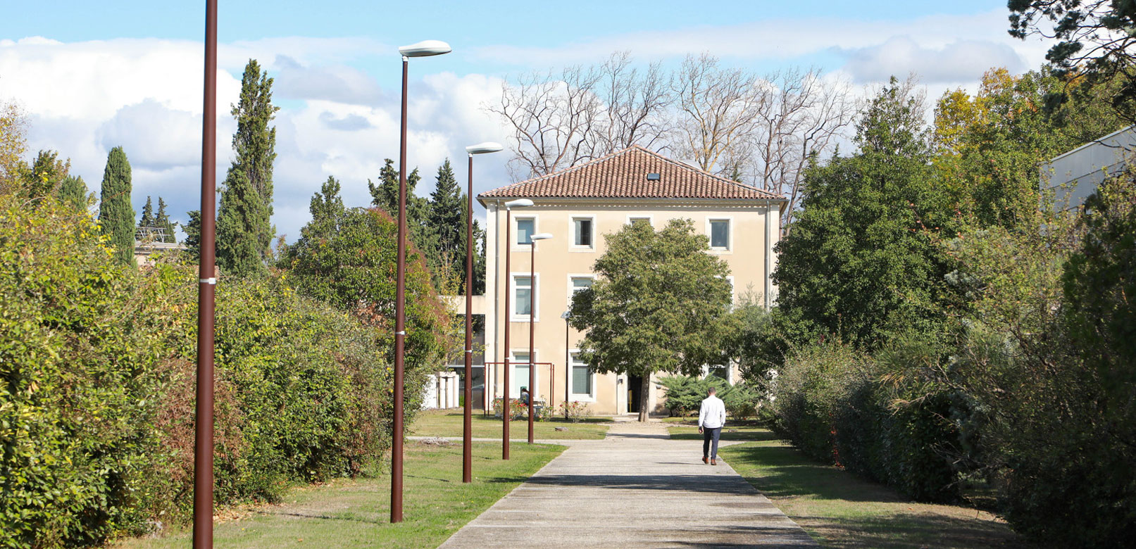 pépinière creative à Avignon