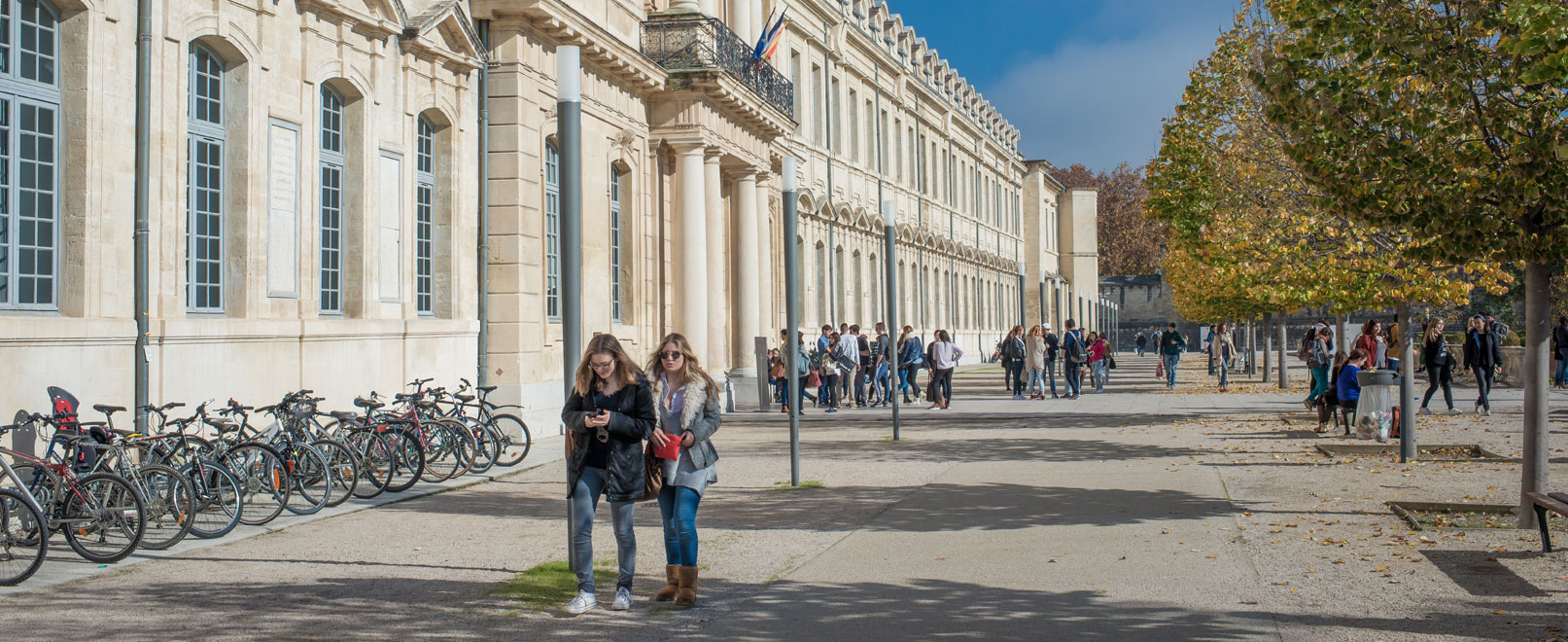 Université d’Avignon © Colombe